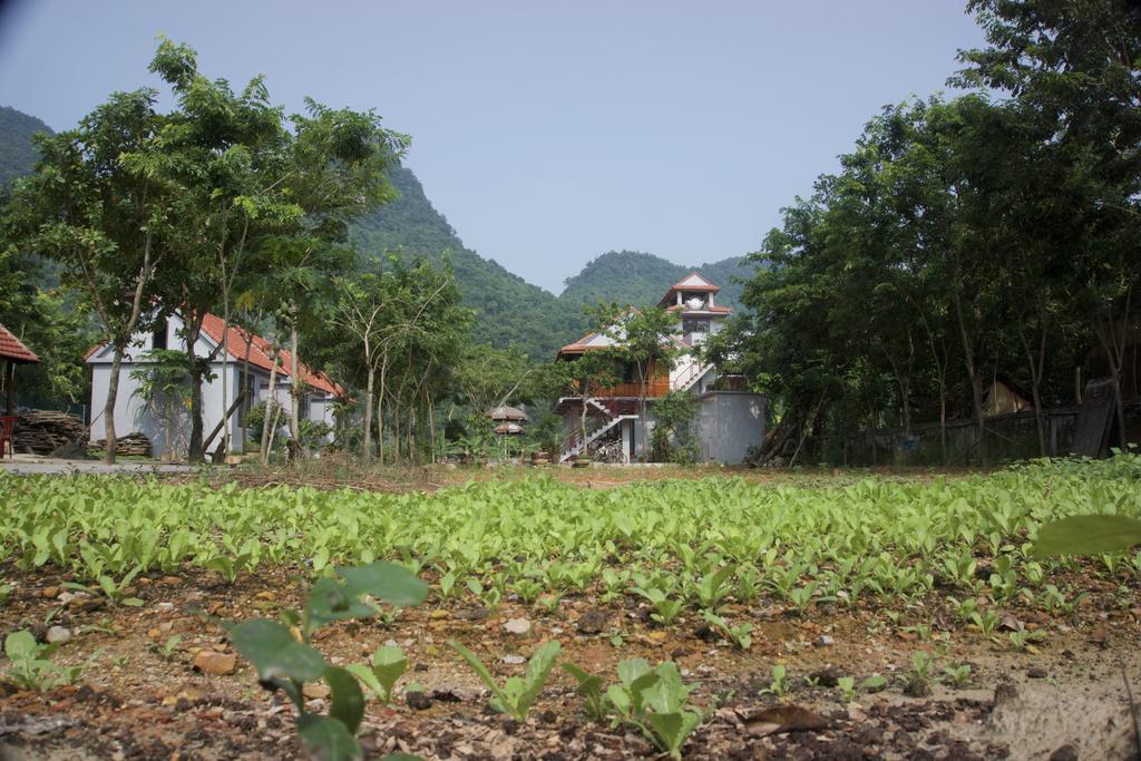 Ho Khanh'S Homestay Phong Nha Exterior photo