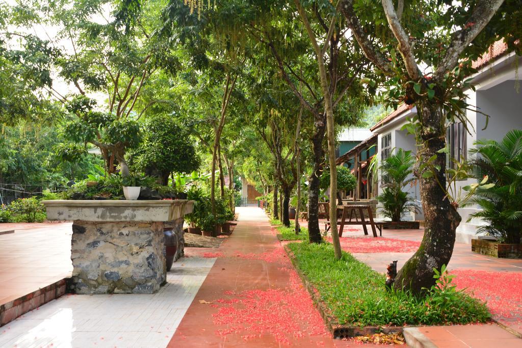 Ho Khanh'S Homestay Phong Nha Exterior photo